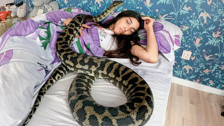 Woman liked sleeping with her python, when it began losing weight she was horrified to learn why. - DayDayNews