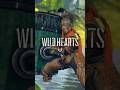 This Final Blow is So Satisfying #wildhearts