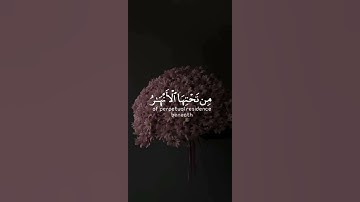 جزاؤهم عند ربهم جنات عدن تجري من تحتها الأنهار خالدين فيها أبدا | سورة البينة | القارئ أحمد خضر