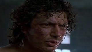Jeff Goldblum plays Star Wars Battlefront (2004)
So were all thinking it right? He mains a bothan spy like a loser? Right? Were all thinking it?
|| Footage is from The Fly (1986), sounds are from Battlefront 2004 loading screen. The two seconds of Battlefront 2004 footage are from @LummyTum s video here: https://youtu.be/jzIPOh7MzSo
|| Meme originally made on 2/2/2024 Jeff Goldblum plays Star Wars Battlefront (2004)