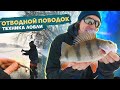 КРУПНЫЙ ОКУНЬ на отводной поводок. Рыбалка с #OnlySpin