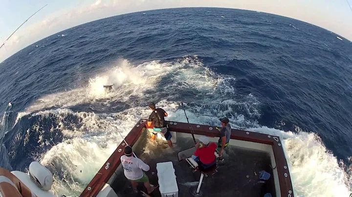 600lb Black Marlin Jumps in Boat and Lands on the Crew!  Captured on 4 different cameras! Very Scary