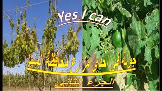 جوله فى احدى مزارع محافظة المنيا - الجزء الثانىA tour in  the farms of Minya Governorate_ Part Two