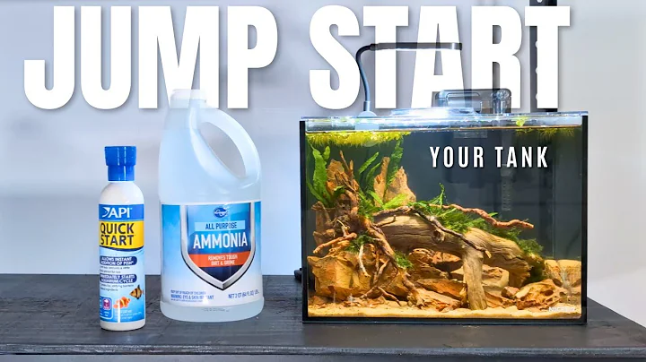 Cycle your new aquarium in 3 days with these 6 SIMPLE steps