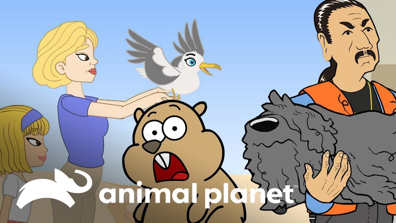 Animais resgatados por famosos | Celebridade Animal | Animal Planet Brasil actores de hollywood de los 50
