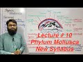 Phylum Mollusca | Class 11 Biology New Syllabus 2025 | New Book PTB