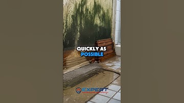 How to prevent mold after flooding