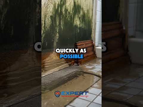preventing mold growth after water damage