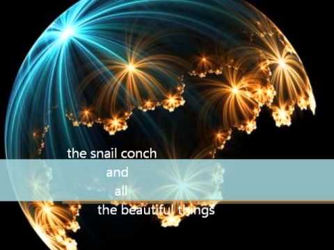 The Fibonacci Sequence ( Didi Kumana feat. Eletrobalaio )