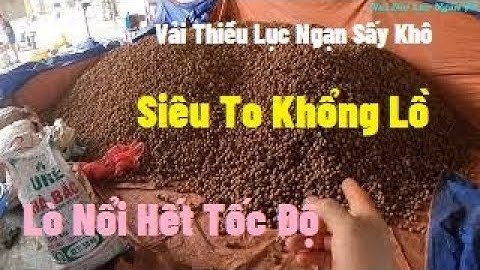 Lò Sấy Vải Thiều Khô Nổi Lửa Phun Kịch I Núi Đồi Lục Ngạn