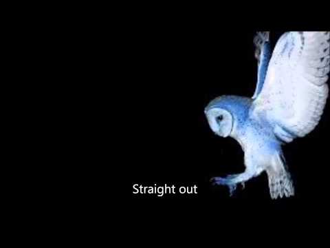 Deftones - CMND/CTRL - Lyrics