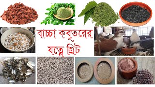 বাচ্চা কবুতরের যত্নে গ্রিট * বাচ্চা কবুতরকে গ্রিট কি ভাবে খাওয়ানো শিখাবেন * গ্রিট বানানোর উপাদান