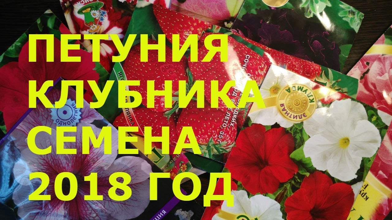 Семена Почтой Озеры Интернет Магазин Каталог