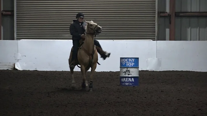 Pam Tuttle and Sugar RockyTop 11-11-16