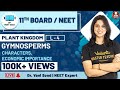 NEET: Plant Kingdom L-4 | Gymnosperms Characters and Economic Importance | Class 11 | Vedantu