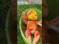 . “Old Toy Becomes New Again 😳 | Satisfying Clean”#toys #usa #