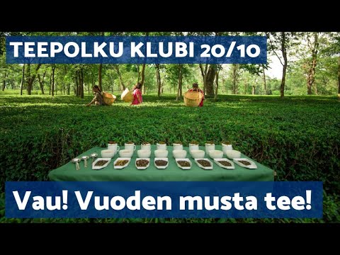 Vau! Vuoden musta tee! - Wah SFTGFOP1 - Musta tee - Teepolku KLUBI 20/10 - VLOG86