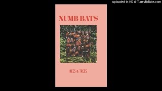 Video thumbnail of "NUMB BATS - "Runnin""