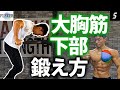 難しい‼肩が痛くなる人多しディップス【大胸筋下部トレーニング】