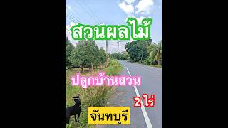 #ผลไม้ #ทุเรียน 2ไร่🌳🌈👩🏻‍🌾👨🏻‍🌾 #durian 25ต้น🌼มังคุด30ต้น🌲ทำเลดีปลูกบ้านเปิดร้านค้าขายได้🏢