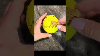 Perfect gift for furbabies! durable toy even aggressive chewers love #pettoys