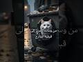 القط صخر من وسادة الحرير إلى قبضة الشارع#viral#cat#song#catlife #ai#مغامرات#لايك_اشتراك#مغامرات_قطط
