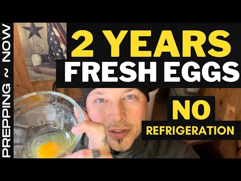 How To Store Eggs Long Term NO REFRIGERATION | Food Shortage | Prepping