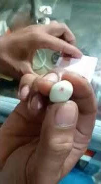 Batu mustika kelapa asli