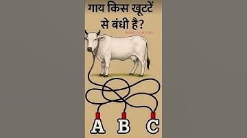 गाय किस खूंटे से बंधी है || IQ level 🧠 math reasoning puzzle 🧩 #motivation #facts #gk #maths #mathsp