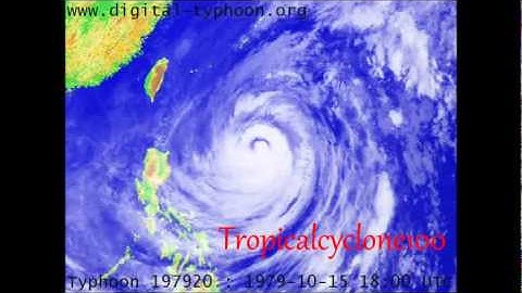 Super Typhoon Tip (1979)