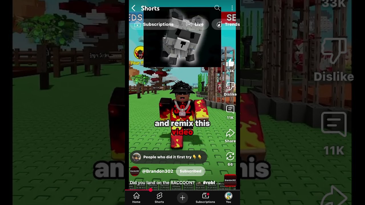  Brandon302 I Landed On It And Liked Subbed