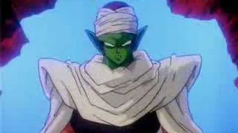 PICCOLO VERSUS SANSHO