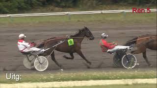 Vidéo de la course PMU PRIX BINGOAL.BE