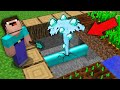 Minecraft NOOB vs PRO: NOOB PUNCHED INCREDIBLE TRUMPET WITH DIAMOND SOURCE WHEN DIGGING FARMLAND!