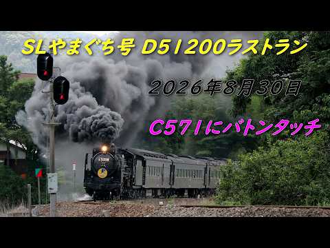 SLやまぐち号 D51200今期ラストラン C571へバトンタッチ2026年8月30日
