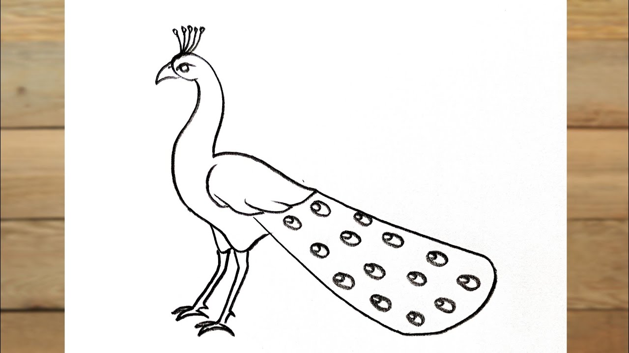 Peacock 🦚 Draw Easy and Simple Way | Step by step Peacock Drawing - YouTube