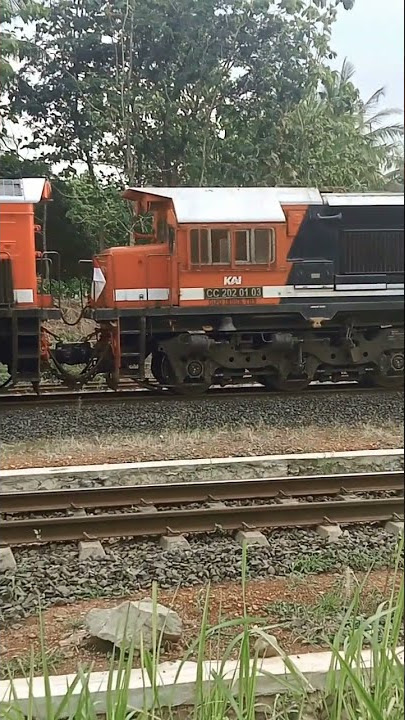 Indonesia merdeka pertunjukan Kereta api bawa bendera #kereta #keretaapi #keretaapiindonesia