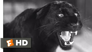 Cat People (1942) - Instrument of Death (3/8) Scene | Movieclips Cat People (1942) - Instrument of Death (3/8) Scene | Movieclips