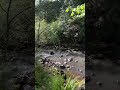 #oregon #nature #brentfaiyaz #explore