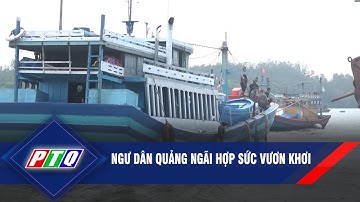 Ngư dân Quảng Ngãi hợp sức vươn khơi | PTQ