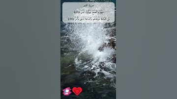 ان المجرمين في ضلال وسعر | سورة القمر #دعاء_ورسالة