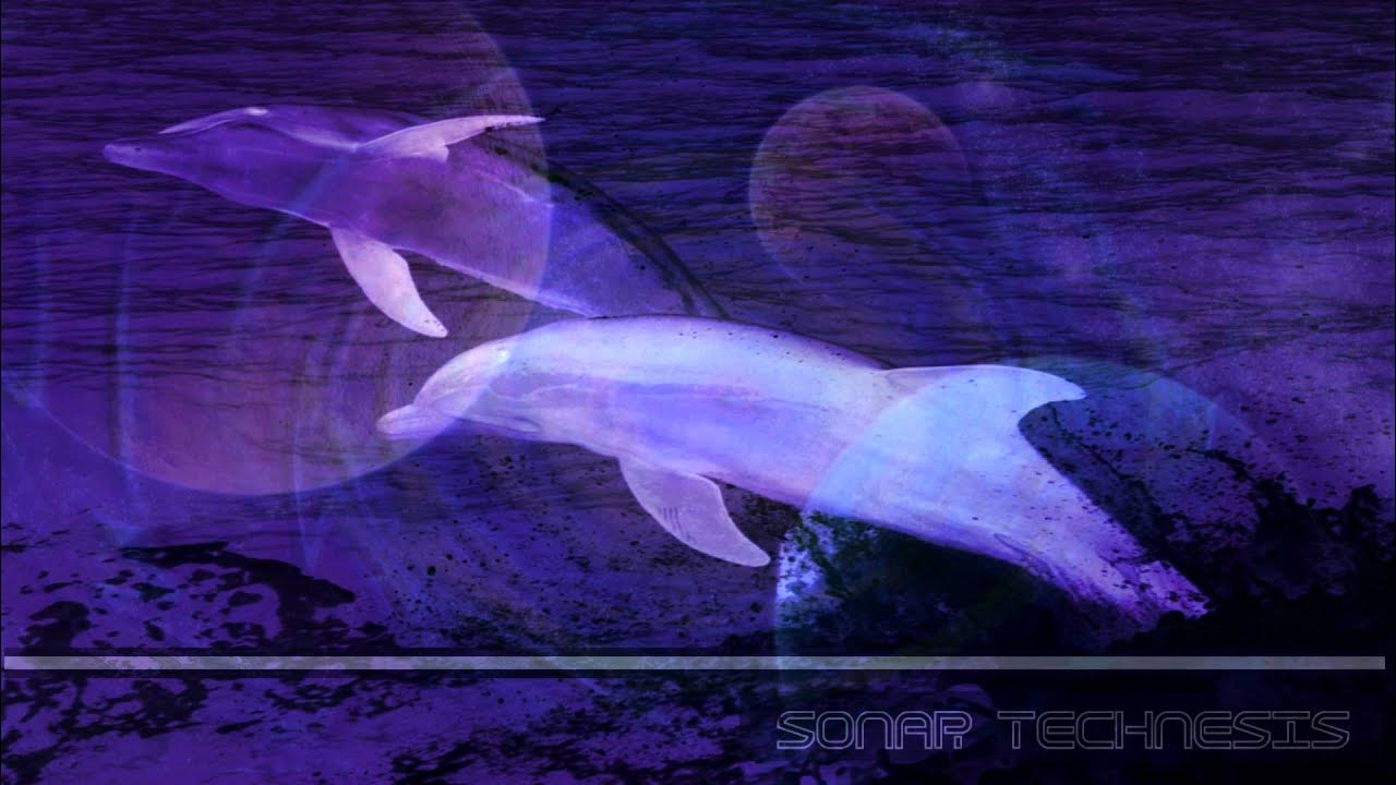 Oracle Of Ages - Key to the Transdimensional Portal Oracle Of Ages - Key to the Transdimensional Portal