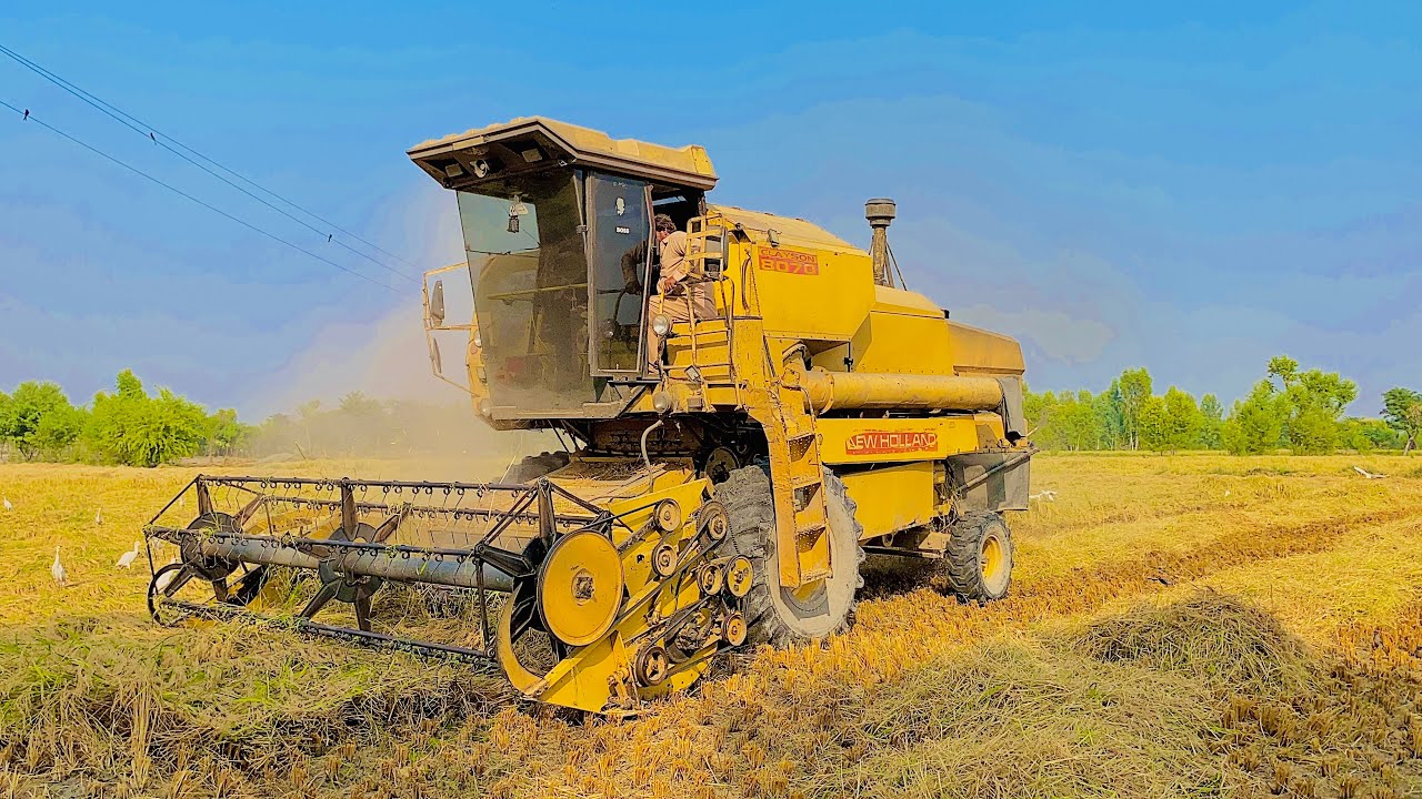 Harvester Combain Machine in Punjab||Rice Cutter machine - YouTube