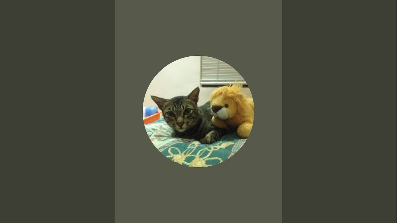 Let’s Play GTA San Andreas PlayStation 2 - Part 4