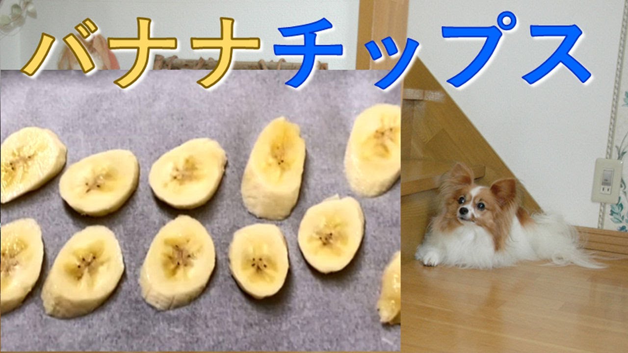 犬の手作りごはん バナナチップス おやつ Youtube 犬の手作りごはん バナナチップス おやつ Youtube