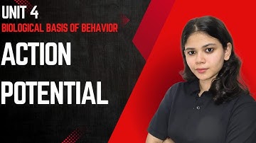 ACTION POTENTIAL | Unit 4 Biological Basis of Behavior | UGC NET DECEMBER 2025 | Harshita Maharshi