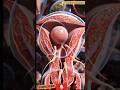 Sirf 1 Sperm Se Kaise Banta Hai Baby? 🤰 Amazing Pregnancy Process | Medical Expert