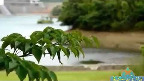 سورة الأنفطار | القارئ  أشرف دعكيك