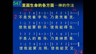 D547不是挣扎努力