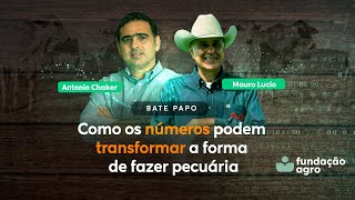 Como os números podem transformar a forma de fazer pecuária